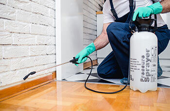 Window Cleaning Brisbane