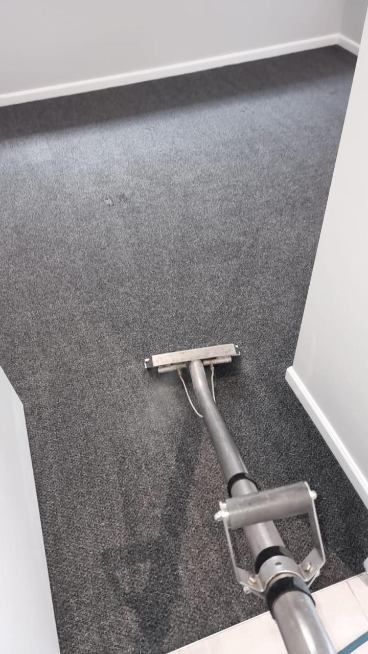 Bond Carpet Cleaning