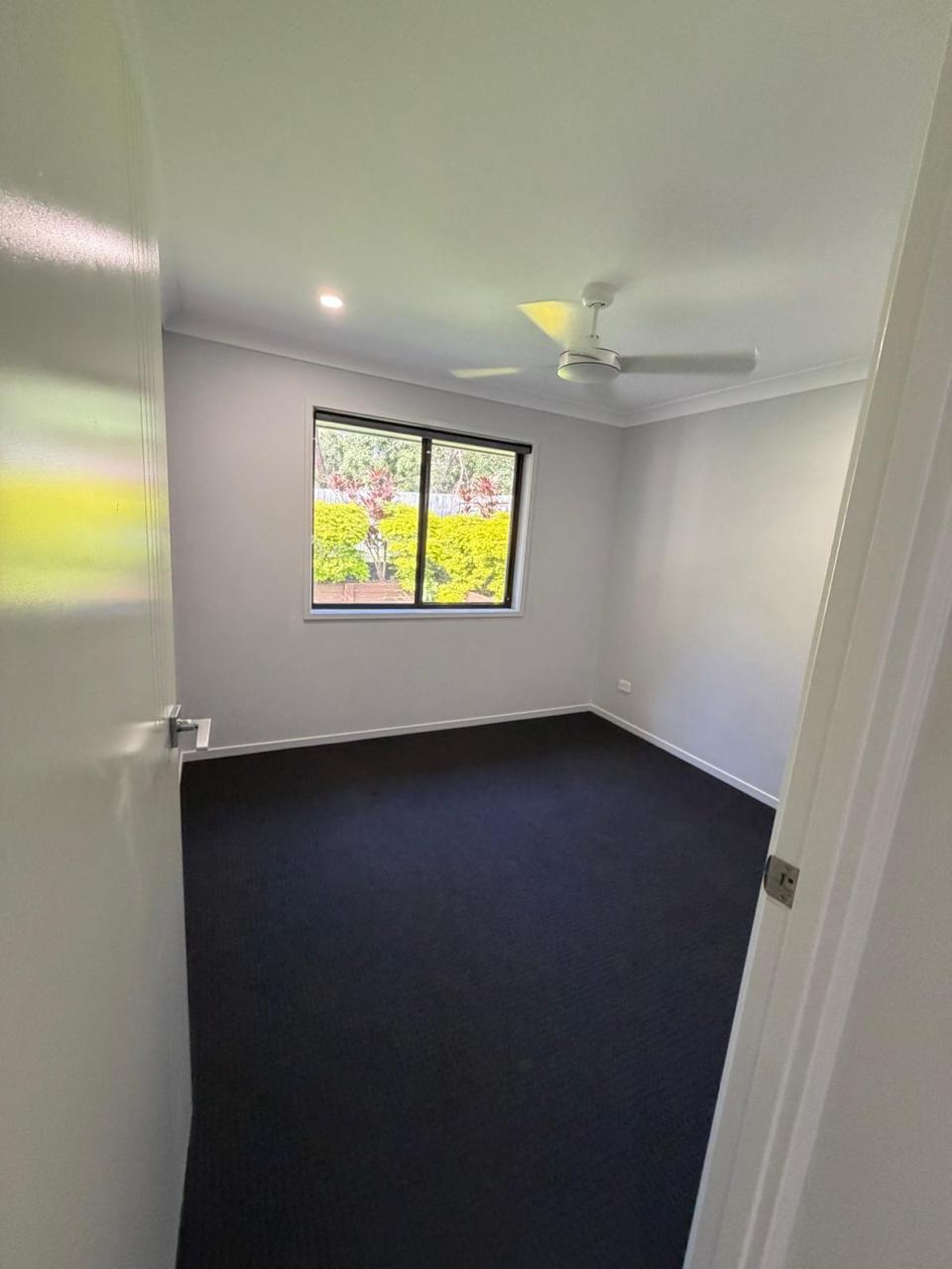 Stain & Pet Odour Removal